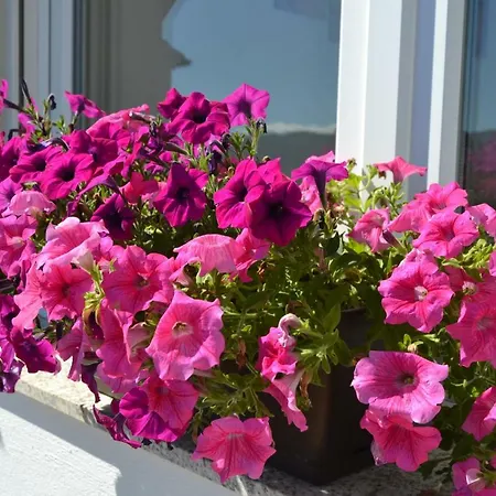 Apartamento Portohouse Portomarín